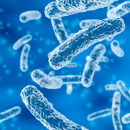 Análisis de Legionella